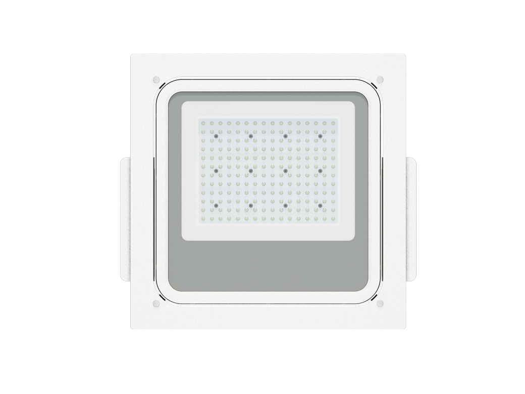 LED Canopy Light