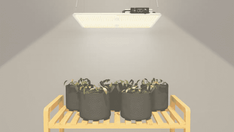 Video of SERIES MATRI-X LED Grow Light