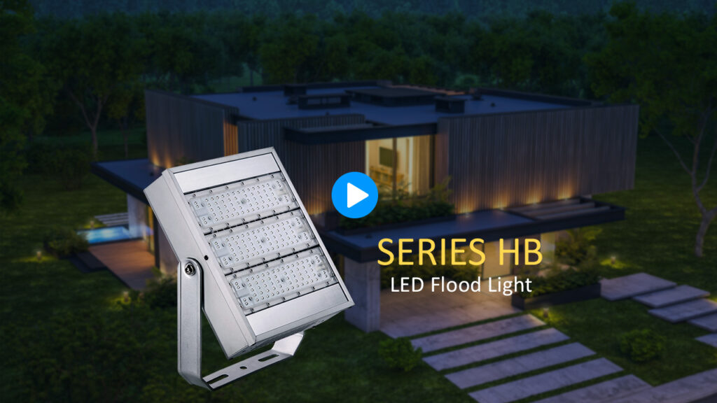 Low Voltage Flood Light