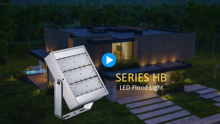 Low Voltage Flood Light