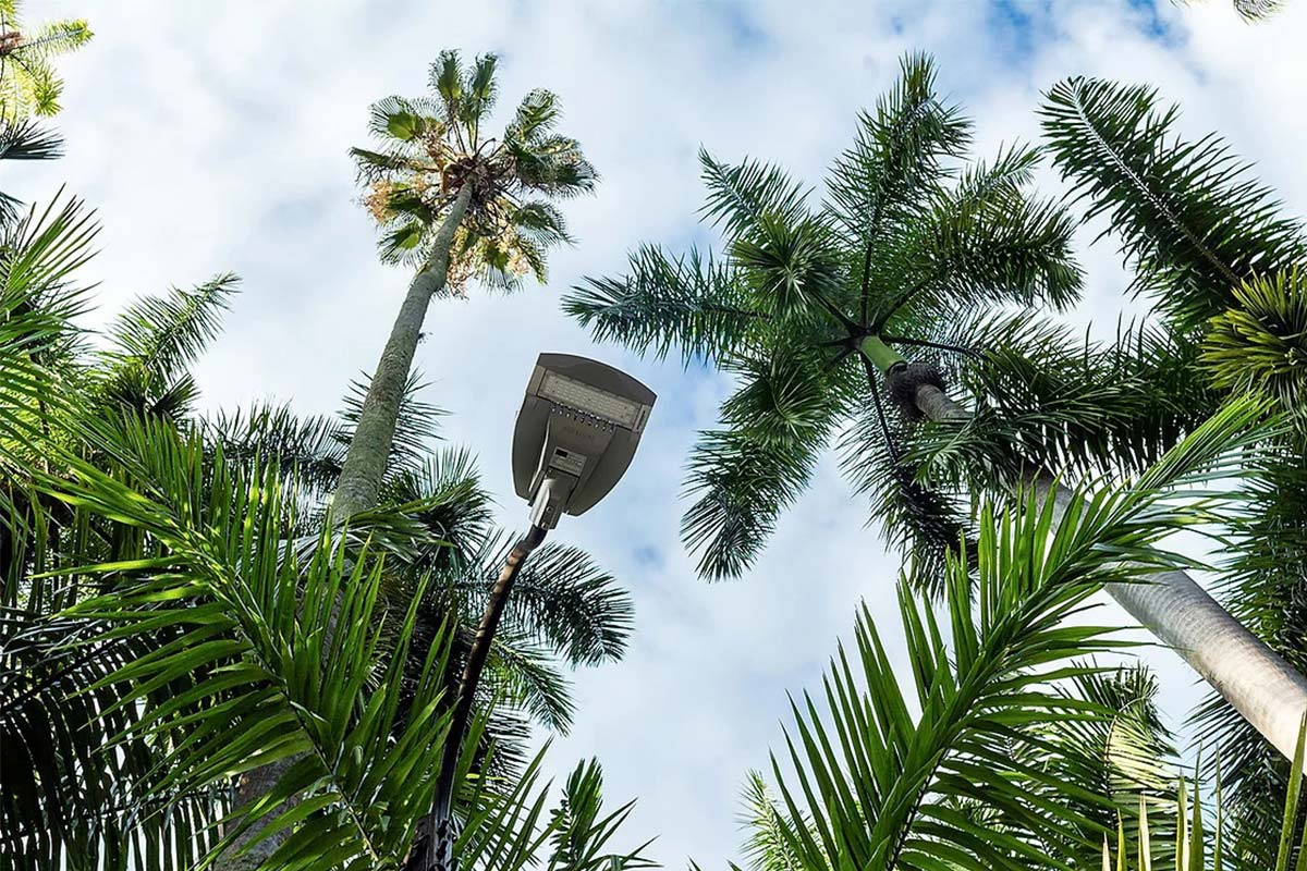 Street Light Fixture In Urban Roads in COLOMBIA 5