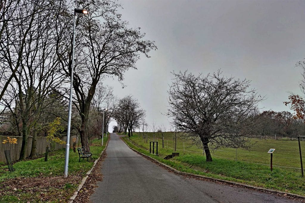 smart street light in a zoo park in Slovakia2