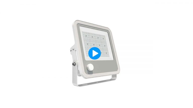 Series Primo ATEX approved Flood Light