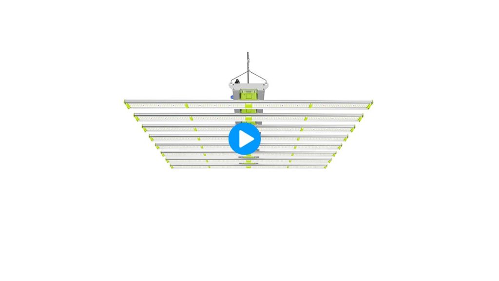 led grow light