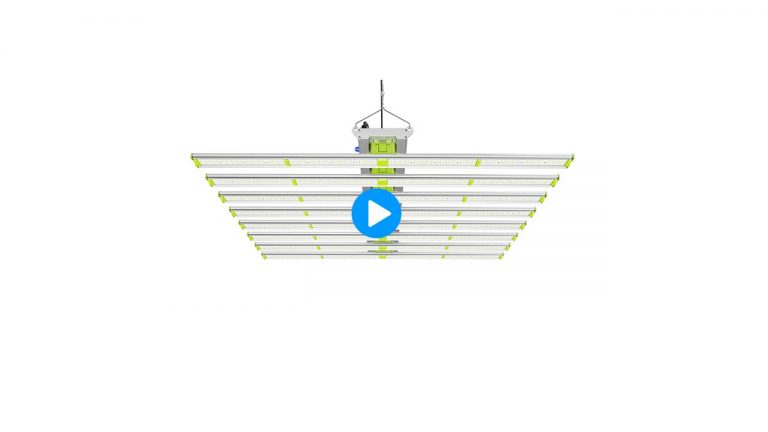 Series Croplustre Grow Lights for Plants