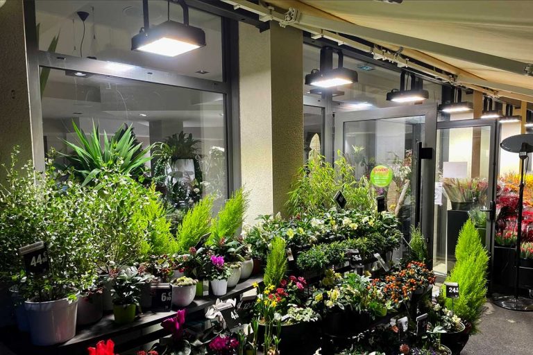 Series HB garden flood lights for plants shop lighting in French