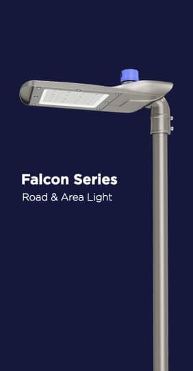 Falcon series road & area light