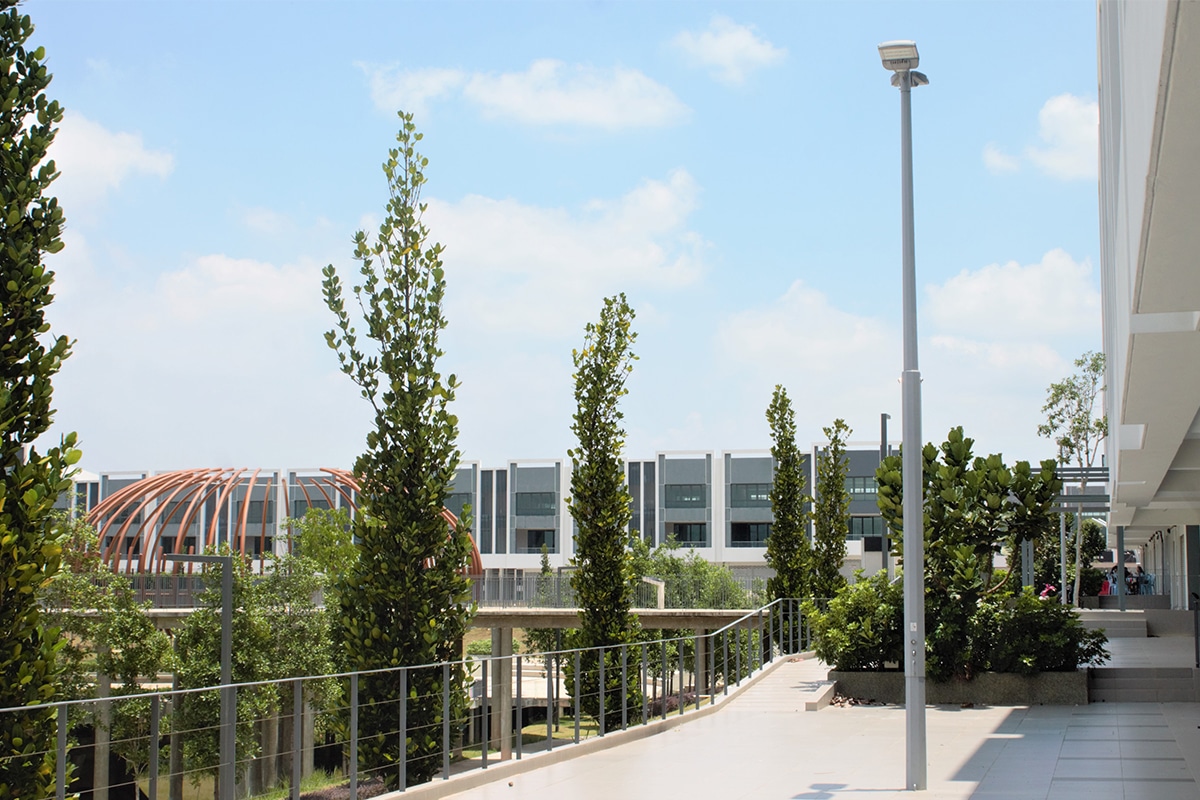 Commercial street lights