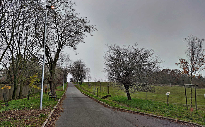 Height of street lights in rural roads K