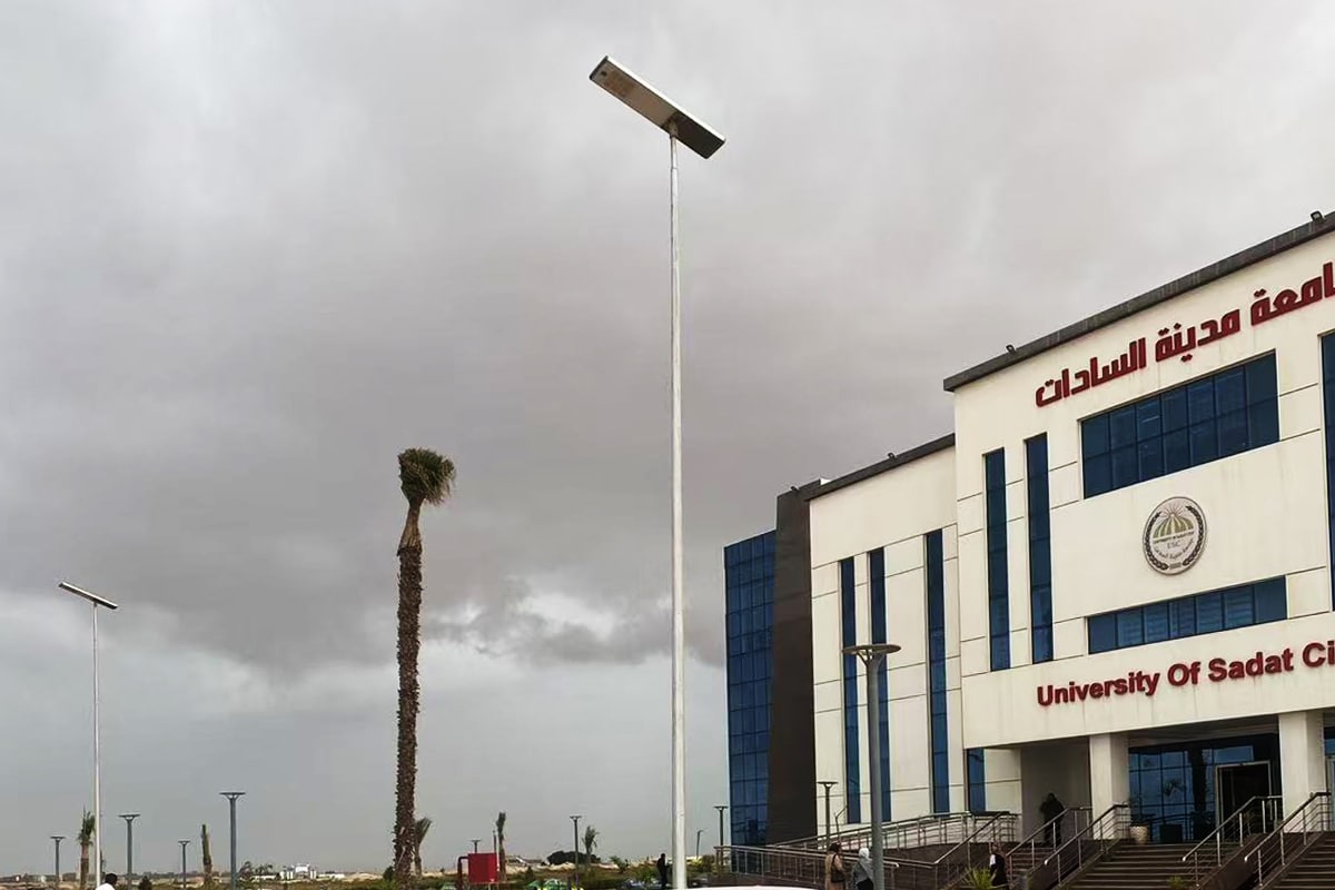 60W solar street light for industrial park in Egypt