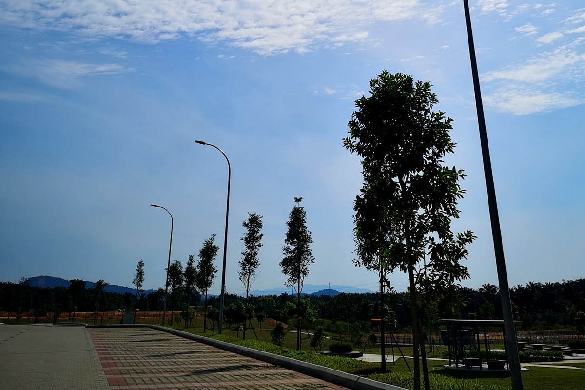 100W LED Street Lights Supplier