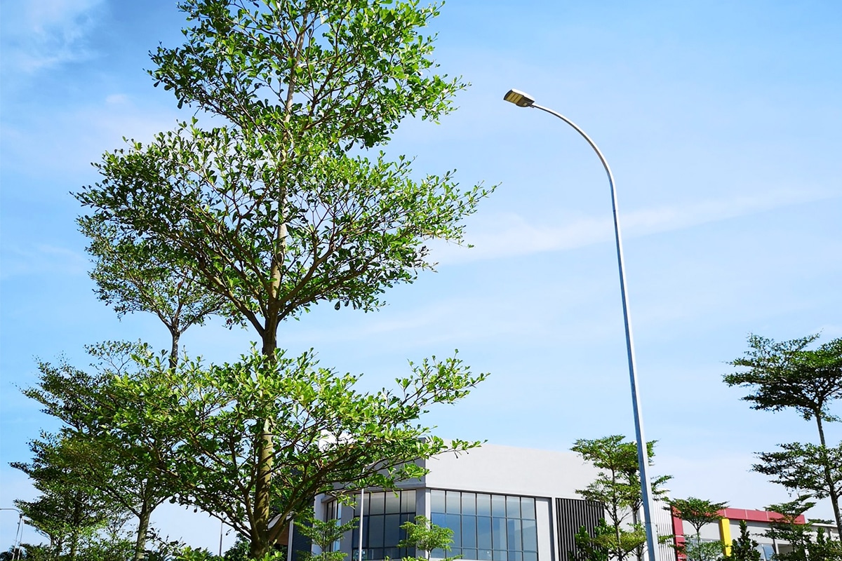 100W LED Street Lights