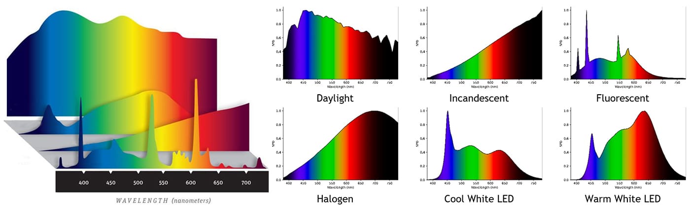 Spectral power distribution of different light sources