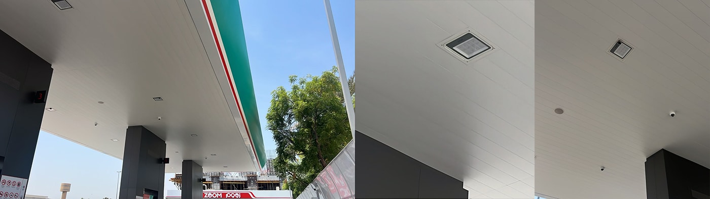 ZGSM canopy light with smart motion sensor